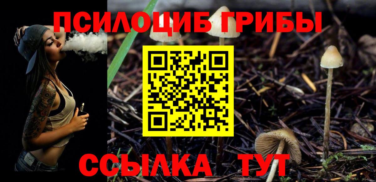 Жуковский  Галлюциногенные грибы прущие грибы  Вход с VPN 